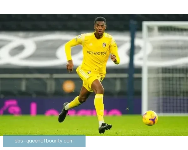 意甲赛场种族歧视事件升级 涉事球员遭停赛五场处理